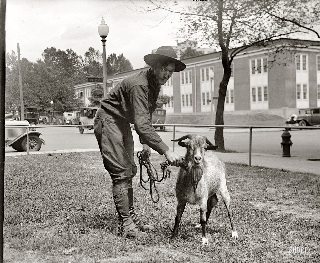 September 5, 1929. "Wm. Hamilton Bones, Stimson Goat." Another shot of the tobacco-chewing goat owned by Secretary of State Henry Stimson. National Photo Company Collection glass negative. View full size.