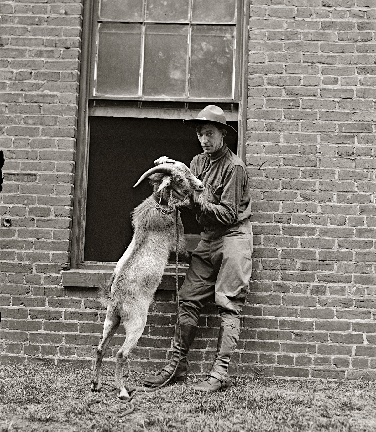 Washington, D.C. September 5, 1929. "William Harrison Bones, Stinson Goat." The elopement came as a shock to both of their families. View full size. Update: Thanks to Stanton Square we now know that the caption should read "William Hamilton Bones, Stimson goat." Who had a substance-abuse problem.