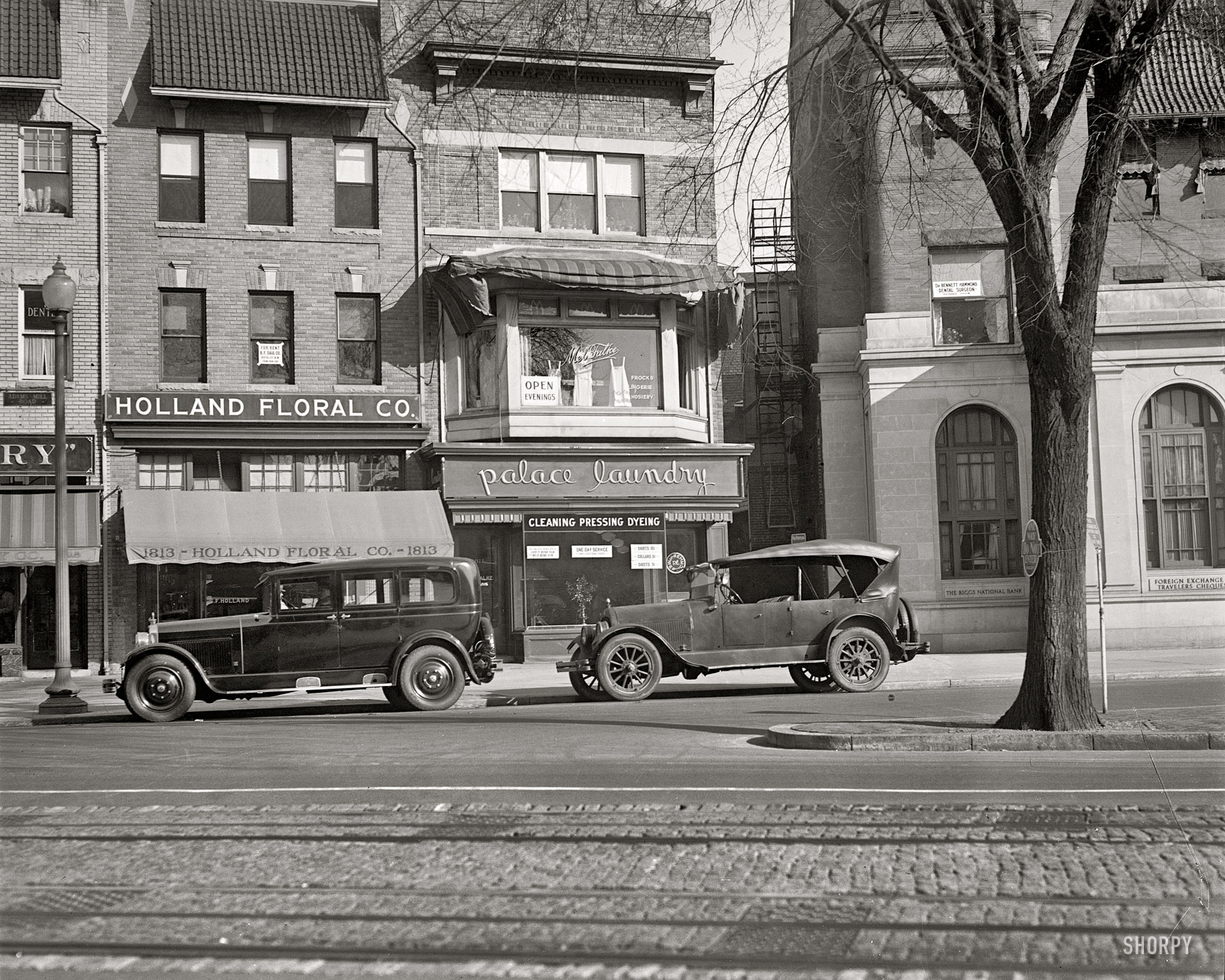 Washington, D.C., circa 1925. "Palace Laundry." 1811 Adams Mill Road N.W. National Photo Company Collection glass negative. View full size.