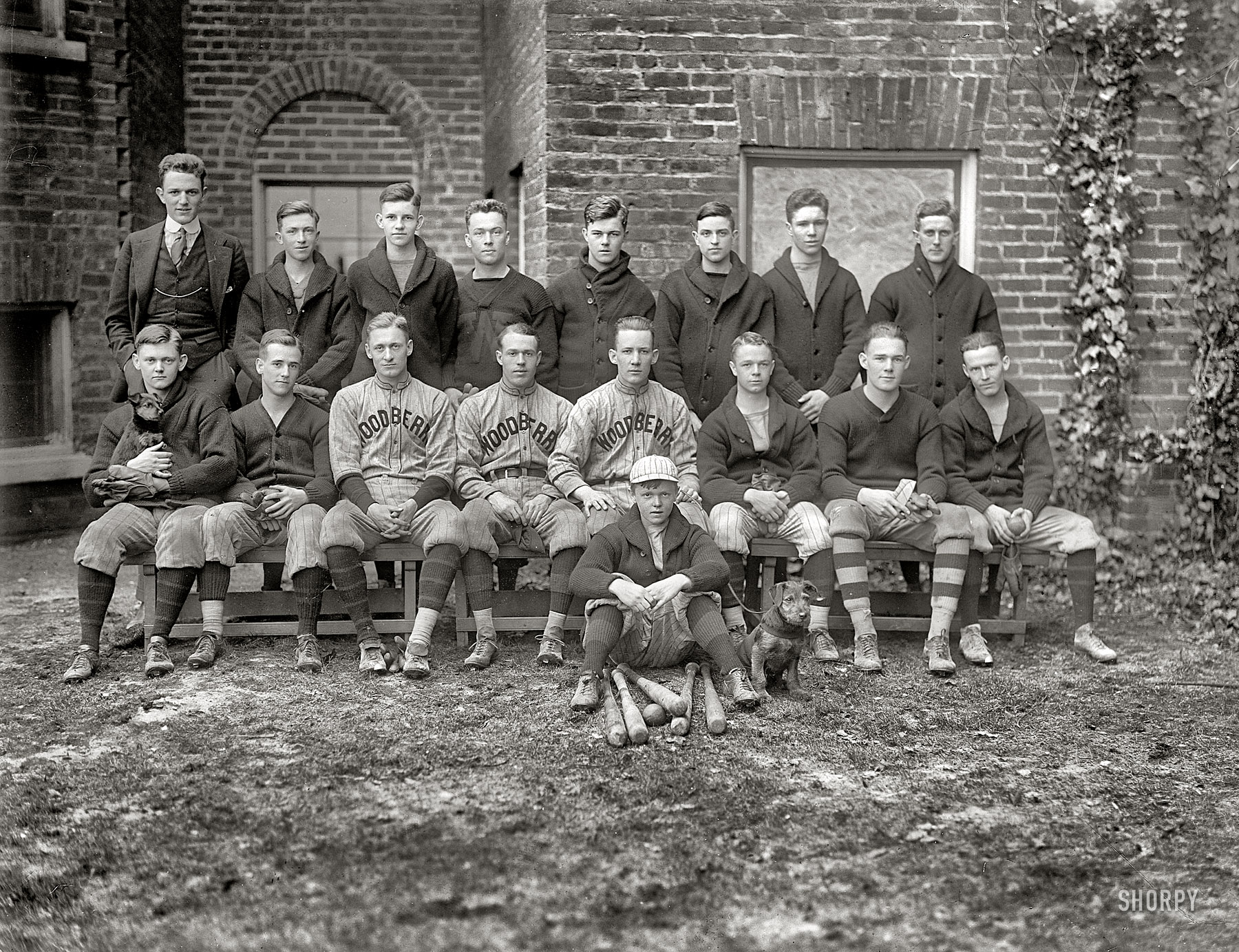 Orange, Virginia, circa 1910. "Woodberry Forest baseball team." And a couple of mascots. Harris & Ewing Collection glass negative. View full size.
