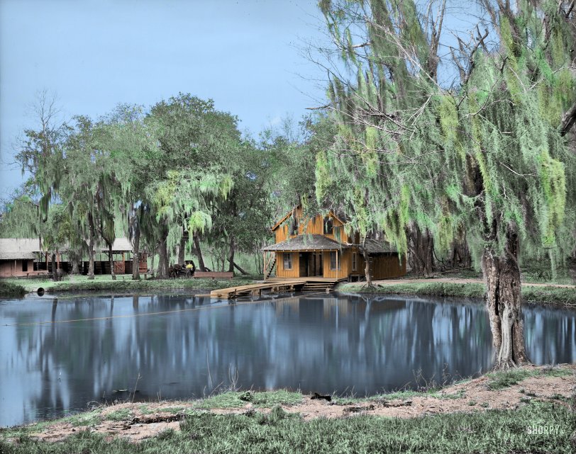 DeLeon Springs, Florida. Colorized from this Shorpy Original. View full size.
