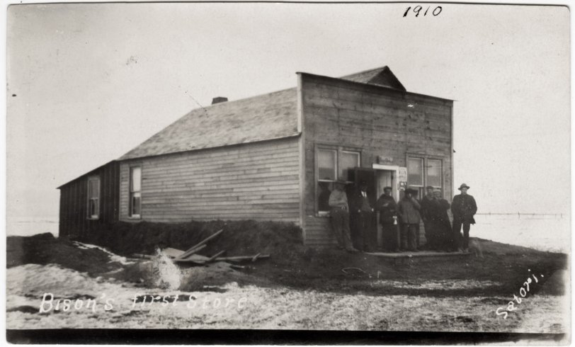 1910 Bison, Perkins County, South Dakota. View full size.
