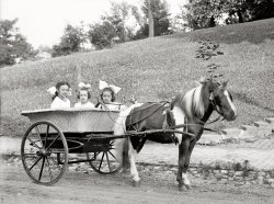 Washington, D.C., circa 1915. "Dorothy in Lindsay's pony cab." Dorothy French (center) was the daughter of National Photo proprietor Herbert E. French; tot on the right is Elizabeth Lindsay. National Photo Co. glass negative. View full size.
