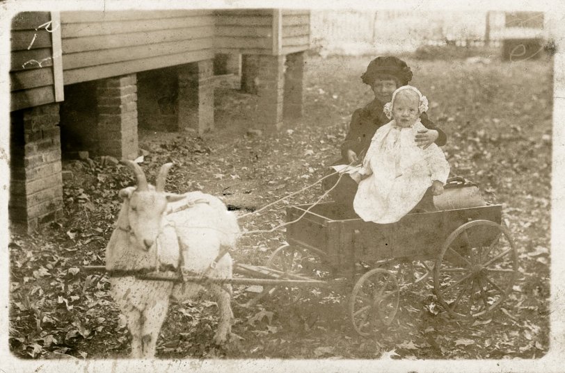 This 1914 photo postcard was mailed to EE Doud in Sheffield, Alabama from his daughter, Irene Doud Seay, in Jasper, Alabama. Pictured are Elisabeth and Dorothea Seay with their pet goat in the yard of the family home in Jasper. View full size
