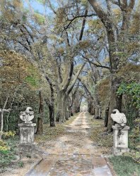 Colorized version of Shorpy photo. 1939. "Driveway looking away from William A. Dawson House, Mobile, Alabama. Spring Hill vicinity. Structure dates to 1840." View full size.