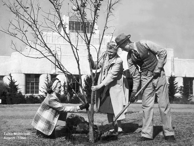 This is Nola A. Higdon and two lady helpers planting a tree at Tulsa Municipal Airport in 1944. The back of the picture reads: "Red bud trees being planted in memory of dead soldiers by Pilot's wives club." Nola Higdon was my wife's father. View full size.

