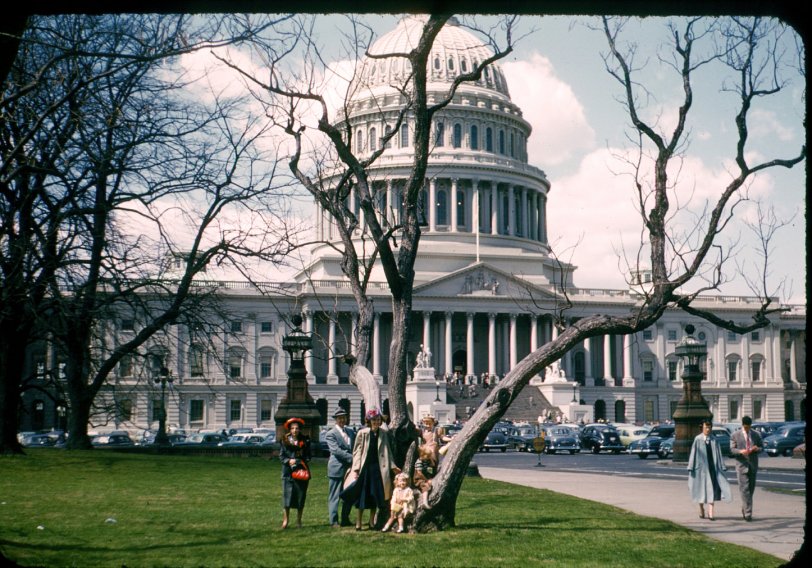 Taken in Washington D.C. in April of 1953.  Starting from the left is my grandmother, my father, mother, sister, me (in the tree) and another sister. Note the yellow stop sign, which was the standard color at that time. View full size.

