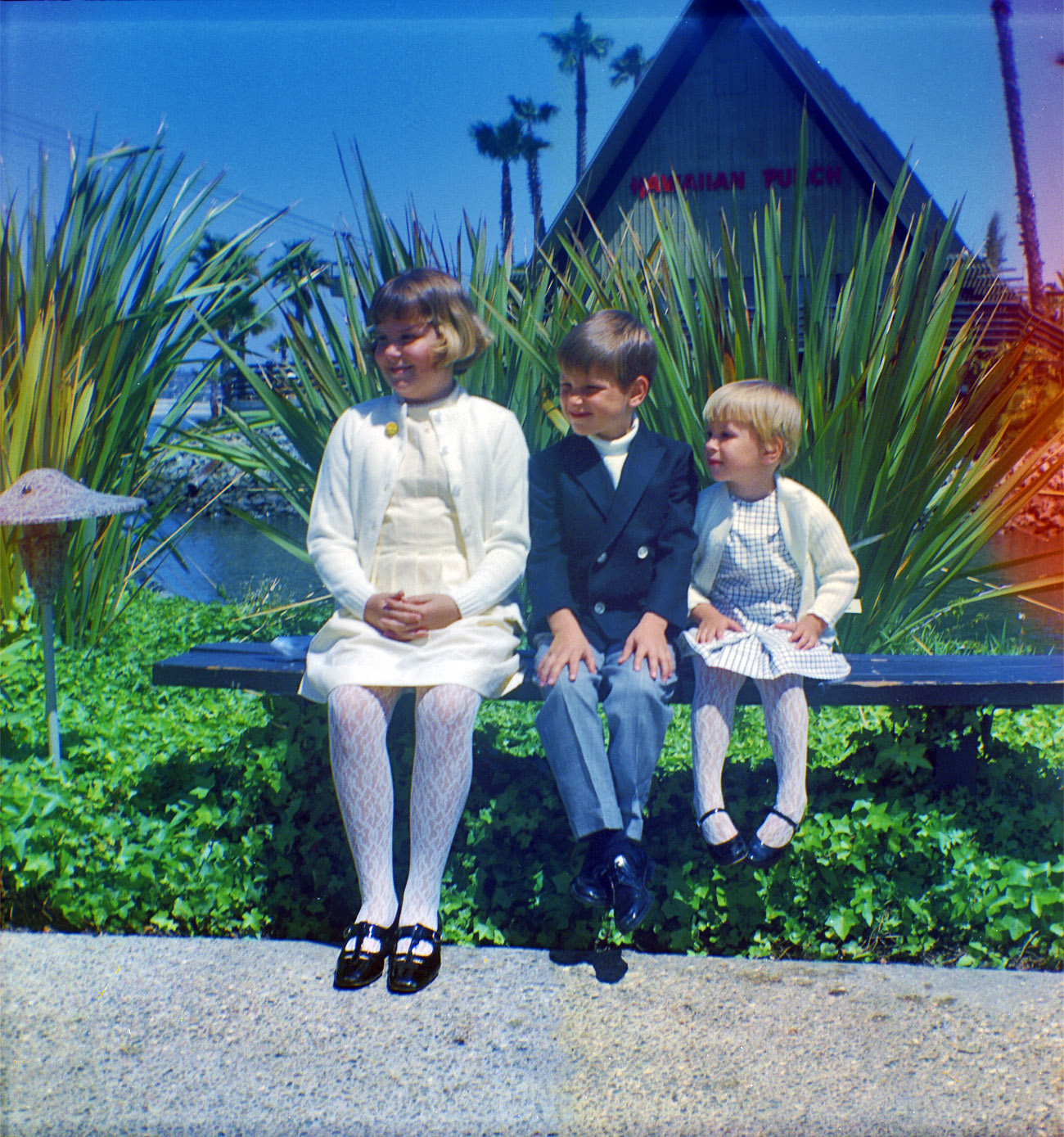 This picture was taken in 1967 at the San Diego SeaWorld. That's my dad in the middle and his sisters on the sides. They don't look like they're dressed to get splashed by Shamu. This commenter left a nice description of what the Hawaiian Punch restaurant behind them was like. View full size.