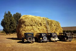 1940. Delta County, Colorado. "Hay stack and automobiles of peach pickers." View full size. 35mm Kodachrome transparency by Russell Lee for the FSA.