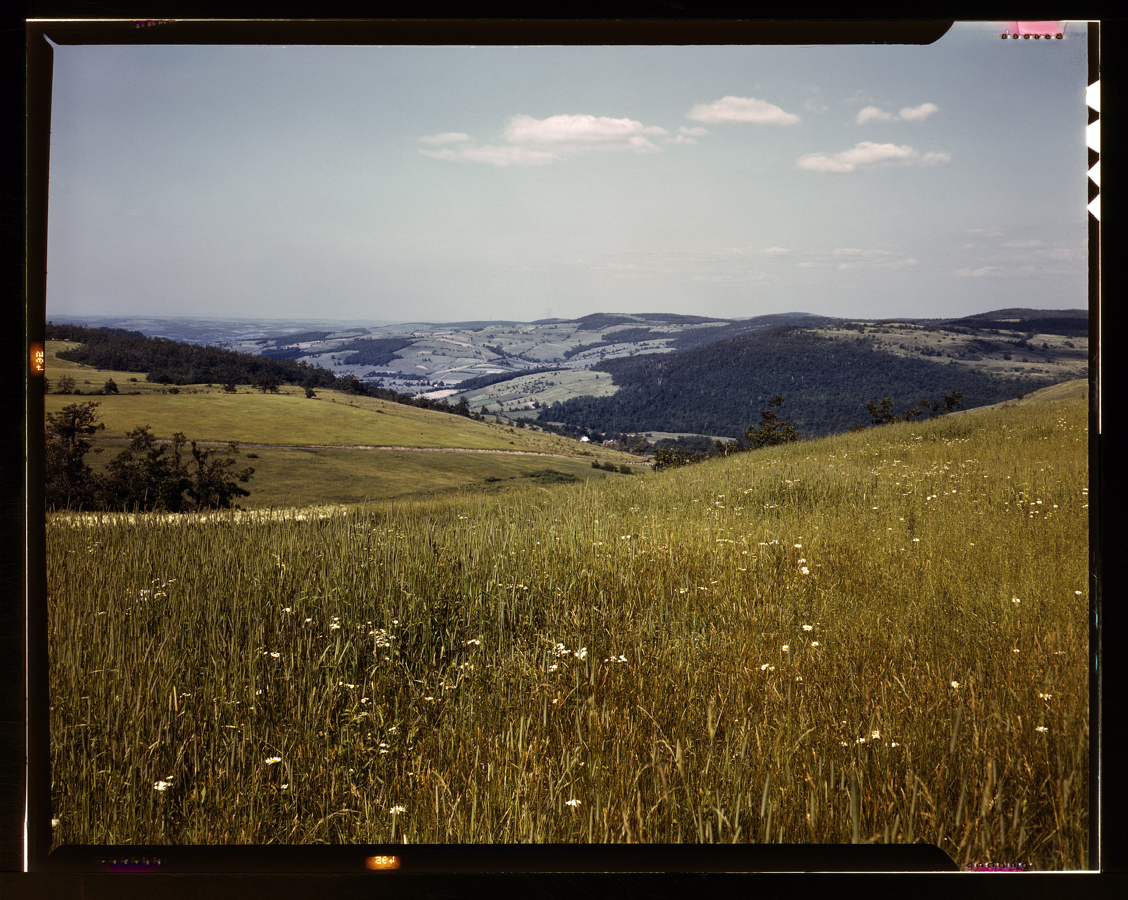 June 1943. Richmondville, New York. Farmland meadow in the Catskill Mountains. View full size. 4x5 Kodachrome transparency by John Collier.