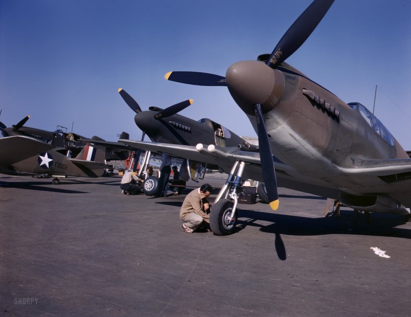 October 1942. P-51 "Mustang" fighter planes being prepared for test flight near the North American Aviation plant in Inglewood, California. View full size. 4x5 Kodachrome transparency by Alfred Palmer for the Office of War Information.
