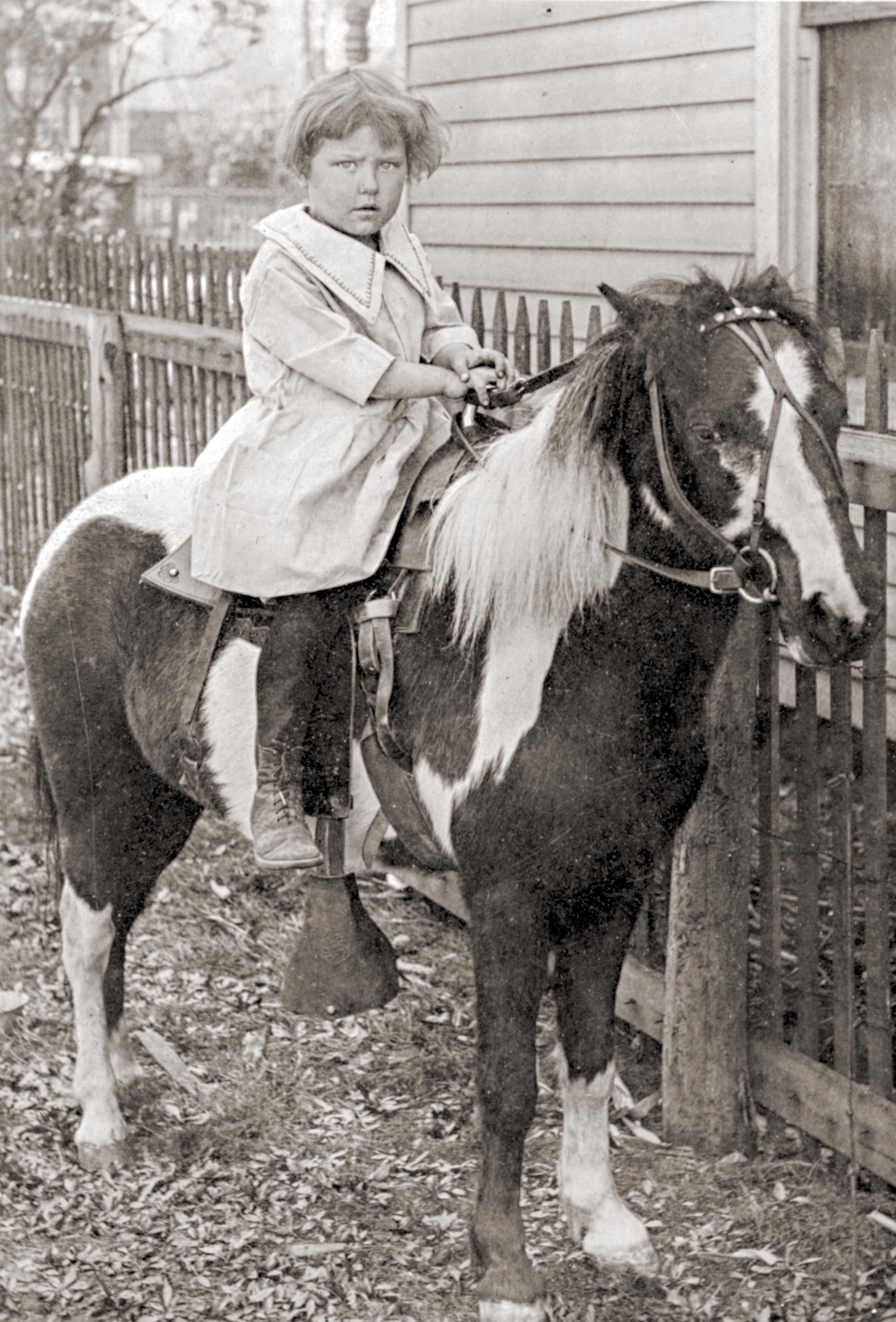 Mary Gillespie from Cambridge, Massachusetts, posing on her pet pony, given on the occasion of her birthday, 1898.