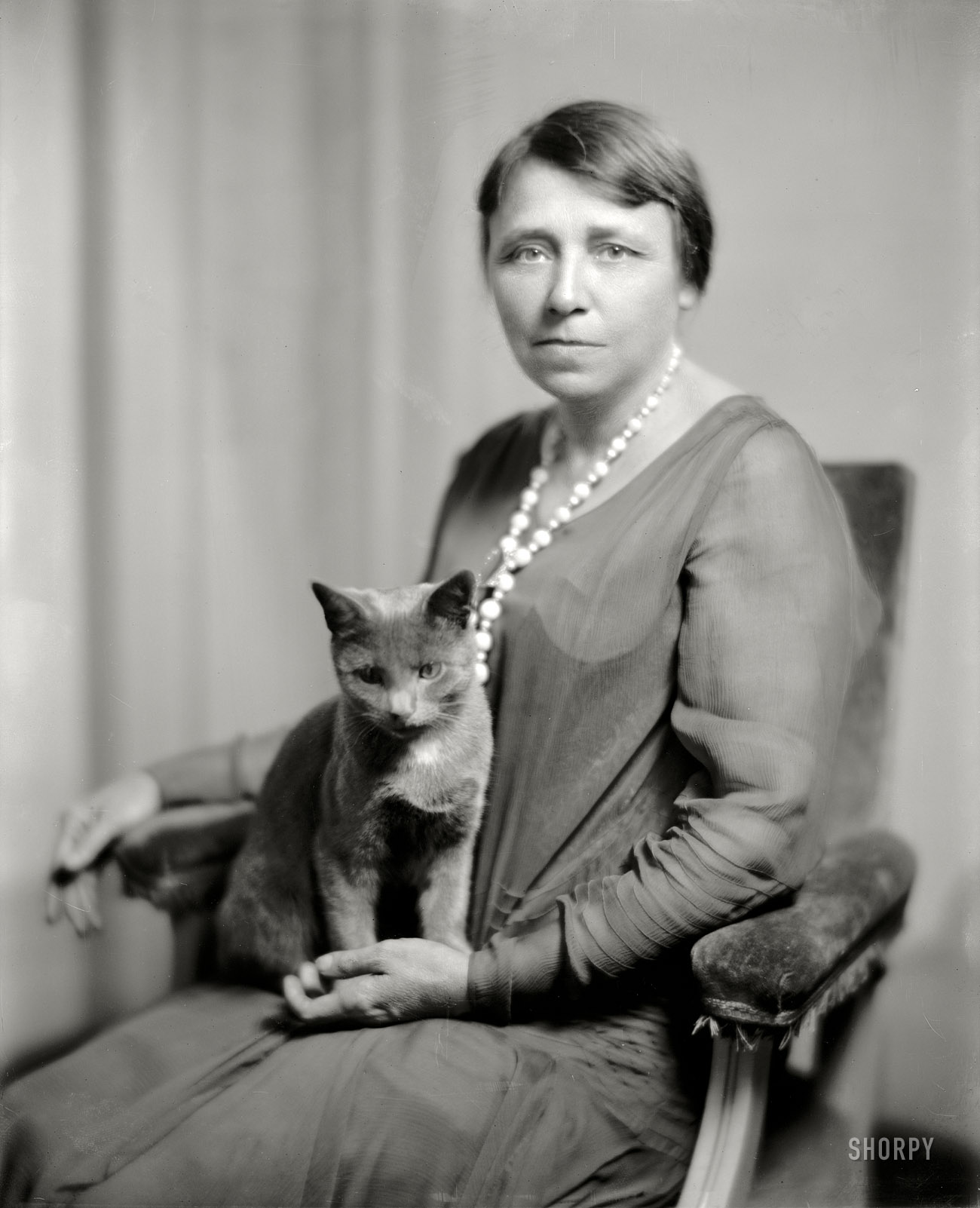 Washington, D.C., circa 1925. "Mrs. Thaddeus Caraway and cat." The cat's accomplishments are lost to history, but Hattie Caraway went on to become a two-term U.S. Senator, the first woman ever elected to that office. View full size.