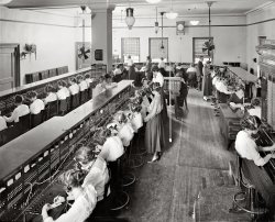 Washington, D.C., circa 1919. "Chesapeake &amp; Potomac Telephone Co. switchboards." Harris &amp; Ewing Collection glass negative. View full size.
Made for the Long DistanceI was a telephone operator up until 1978. With the exception of the headpiece with the mouth cone, the hair and clothing styles, the room and switchboards looked almost exactly like this. The boards were made extremely well and stood the test of time!
Hello Central?Give me Dr. Jazz.
Family connectionThis is what my mom did in the 1940s for the old AT&amp;T. 
Time warp?The clock on the wall reads 7:25 and the small clocks at the operator's stations read 5:10.
[The wall clock says 5:09. - Dave]
One Ringy DingyIs this the party to whom I'm speaking?
Lucky GuysTwo men in a room full of young women.  Heaven or maybe hell?
And I thought MY job was micromanaged!I suppose the switchboard watches (one every third girl) were there to time calls.
Keeping coolCan you imagine all these people stuff into this room, working elbow to elbow in their long sleeves and skirts relying on those two fans for comfort when hot humid air hits Washington in the summer.  Whew!
Plugs and JacksI used to install dial-cord switchboards like these. The last one I did was sometime in the late 1970s for Westinghouse. The doors piled up along the wall were from the backs of the stations, and were usually removed only for running new cables or adding jack strips. On the back of each jack hole you see on those boards were six wires, each stripped and soldered in place. Needless to say, installing these things took plenty of time and patience. 
In and OutSame basic management style existed when I started with Nynex/Bell Atlantic/Verizon in 1987.  We also had something similar to the box on the column.  It had lights on it that would indicate who was jacked in to the board and who was not -- green in, red out.
See Miss GregoryAd from the August 18, 1918, Washington Post. Click to enlarge.

Disemboweled HandGomez, on the right side of the room -- could that be Thing?
[The word you were thinking of (I dearly hope): "Disembodied." - Dave]
Changing timesI noticed in this picture how many people were working. A similar service in this day might involve one person with a computer. Also, everyone is so well dressed. In the pre-polyester days those blouses must have take a lot of ironing to look presentable. Finally, there are so few overweight women in this picture. I think a similar office scene in 2010 would be very different. We have, unfortunately, become fat, frumpy and unemployed.
Another Family ConnectionMy mom was an operator for Pacific Bell in the 60s and 70s. Her saddest story was about young men crying as they called their parents before being shipped out to Vietnam.  Her funniest story was about how young men would call home on Father's Day, wish their dads a happy day, and then immediately ask for Mom.
Full EmploymentPerhaps we should go back to this way of doing things. Automation is wonderful but it certainly has had an affect on the jobs available for entry-level people.  I kind of miss hearing "number please" but don't miss waiting, sometimes hours, to make a long distance call.  So, yes, I'm torn between the "good ol' days" and modern conveniences.  
Thanks DaveFor leaving the title.  That "disembowled hand" actually made me howl. Still giggling. 
&quot;Three daily recreation periods&quot;No date, but this Long Lines Operator recruiting brochure looks roughly contemporaneous with the photo and ad.
Then vs nowI'm on the phones in the faults department of a larger phone company. We have in our centre a few former plug and switch operators(their job was the same as the ladies above). The only things different from  their pics are the fashions and the mouthpiece. 
In Australia, full automation of the telephone network did not happen until the mid 1980's, people had to book STD (long distance) calls on busy days like Christmas Day. It's amazing to think that only 25 or so years later, if I need to transfer a call (something that happens often), I just push a couple of buttons on my handset and off they go.
Buns buns buns!I love how every girl has the same hairdo, but every single bun is different!
I did this too.I worked for AT&amp;T in 1986, first as an overseas operator then on to ship-to-shore with the radio stations WOO, WOM and KMI. These single-pole plug-in cord boards were later replaced with double-pronged International Service Position System boards. The ratio of women to men also changed a little. In my unit, which looked much like this, it was about 2-1 with women still dominating the job.  The other people in the unit were usually service assistants who helped the operators and often relieved them to go to the bathroom. In my unit we had dedicated circuits connected to inward operators of countries like Russia, Lebanon, India and Ghana. I totally loved the job! As automation took over, downsizing began, ultimately reducing the force by leaps and bounds.
My grandmother&#039;s best and last memoriesMy Nan worked as a supervisor at the Bell around this time in Montreal. It was her job to time the operators and see how well they were doing their jobs.
When she was in her late 80s she could remember this like it was yesterday, but she couldn't remember yesterday.
Fantastic picture. Gives me some insight to Grandmother's life.
(Technology, The Gallery, D.C., Harris + Ewing, The Office)