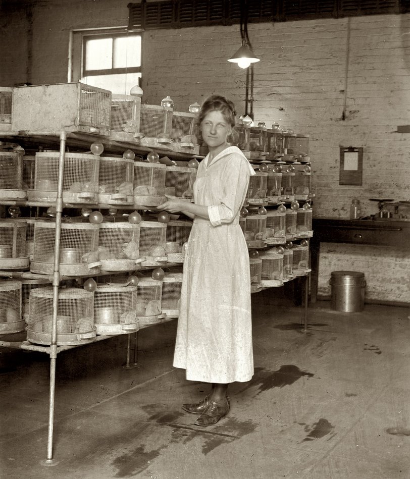 Photo of: Nutrition Division: 1920 -- Washington, D.C., circa 1920. 