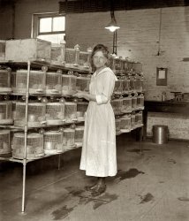 Nutrition Division: 1920