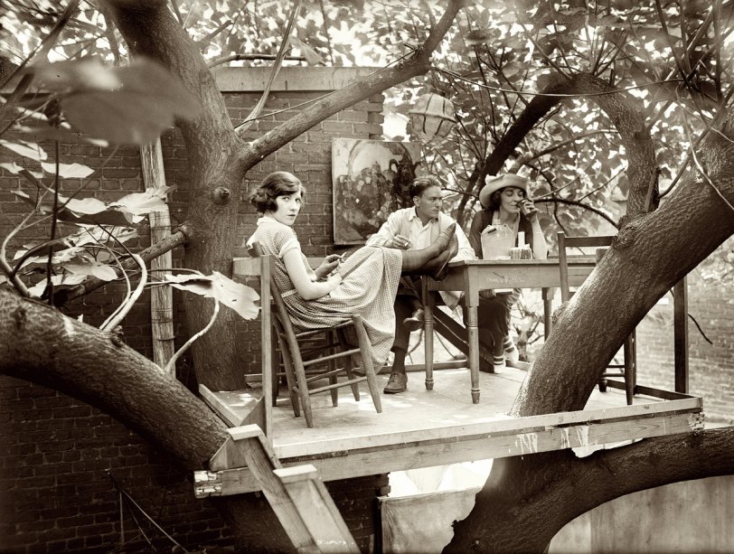 July 15, 1921. Our third photo of the treetop table at the Krazy Kat club in Washington. View full size. National Photo Company Collection glass negative. (Coming Monday: Details on the Krazy Kat and one of the notables who ran it.)
