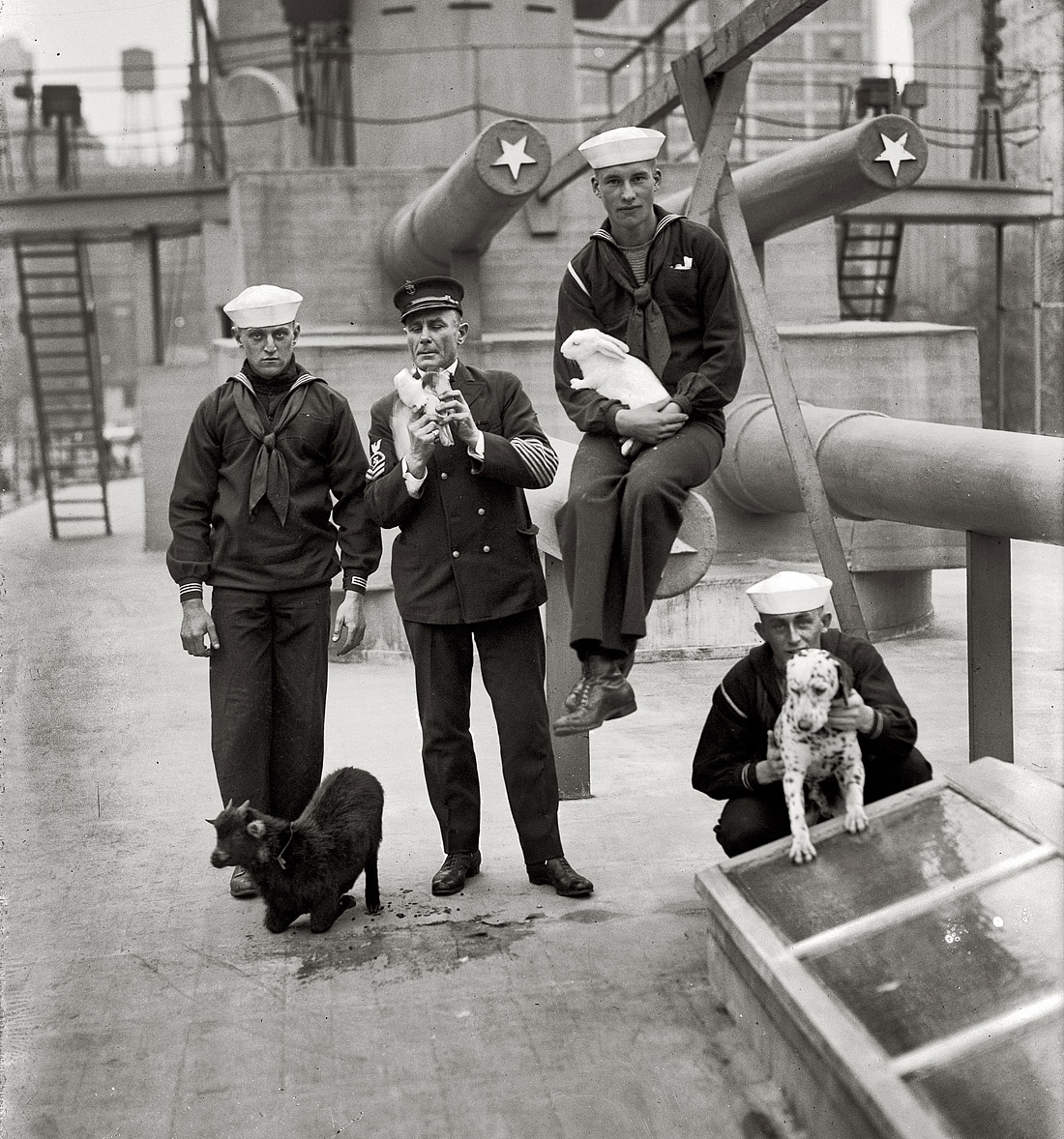 New York, 1917. "Mascots aboard Recruit." Furry/feathery companions for sailors on the "landship" in Union Square. View full size. G.G. Bain Collection.