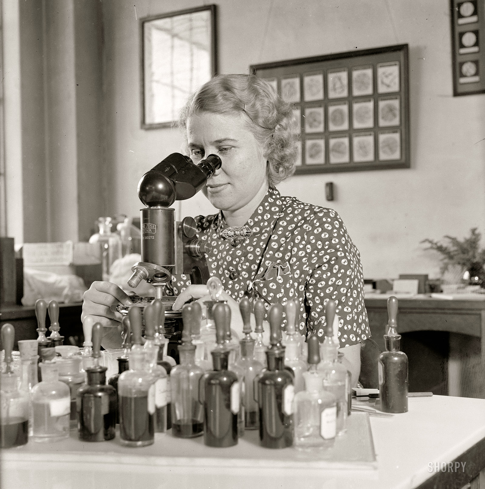 September 28, 1937. "Sees that Uncle Sam gets value in purchases. Miss Mary L. Rollins is responsible for seeing that the government gets value received for every dollar expended for paper and materials containing textile fibers. As fiber technologist of the National Bureau of Standards in Washington, she makes microscopic tests of typewriter paper, memo pads, envelopes, police uniforms, chair cushions, flags, etc. to determine whether the articles are delivered are represented when purchased." Harris & Ewing glass negative. View full size.
