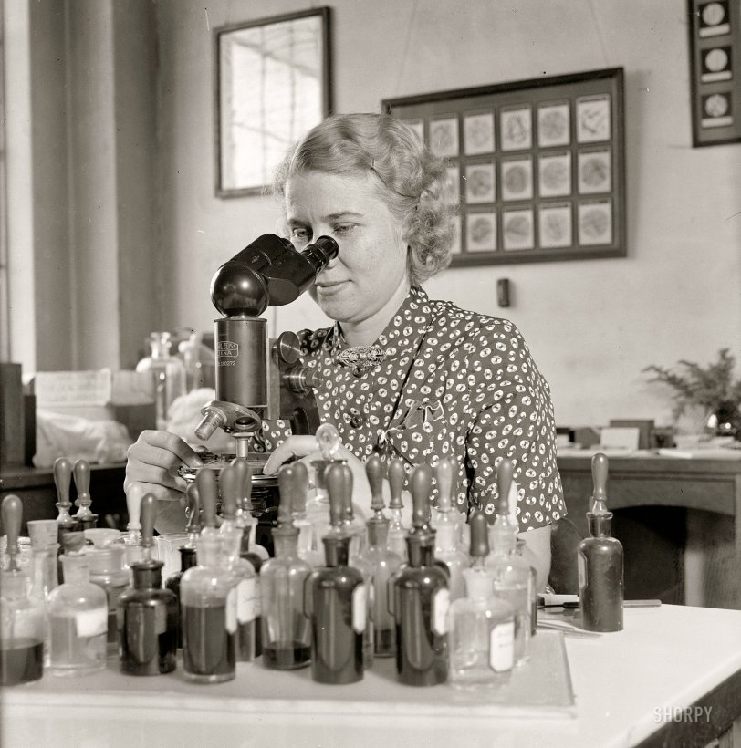 September 28, 1937. "Sees that Uncle Sam gets value in purchases. Miss Mary L. Rollins is responsible for seeing that the government gets value received for every dollar expended for paper and materials containing textile fibers. As fiber technologist of the National Bureau of Standards in Washington, she makes microscopic tests of typewriter paper, memo pads, envelopes, police uniforms, chair cushions, flags, etc. to determine whether the articles are delivered are represented when purchased." Harris &amp; Ewing glass negative. View full size.
