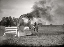 Washington, D.C. "Shrine barbecue, October 21, 1922." A few more passes for medium-rare. National Photo Company Collection glass negative. View full size.
AmazingShouldn't this be regarded as rather amazing? My limited experience with horses suggests that running them toward fire goes against every instinct they have. This must be one well-trained mount. Poor thing. It's hard to believe he'd do it more than once, given that his hind feet must have gotten a little warm there. Oh, and, "The sheriff is near!"
Hummmm!Telegram for Mongo! Telegram for Mongo!
Fire-Jumping BattalionA couple photos ran in The Post the following day.  The soldier is from Troop E, Third Calvary, Fort Myer, the fire-jumping battalion.  The location is Noyes' farm at Sligo, MD.
(The Gallery, D.C., Horses, Natl Photo)