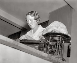 December 4, 1937. Washington, D.C. "Miss Jessie Lamb demonstrates correct way to bake turkey. In this very scientific kitchen each bird is weighed before it goes into the oven as a difference in weight demands a change in cooking time." Happy Thanksgiving from Shorpy! Harris & Ewing glass negative. View full size.