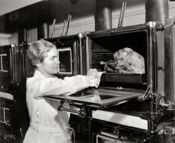 December 4, 1937. Washington, D.C. "Correct way to bake turkey. Miss Alexander removes the bird from oven and bastes it." View full size.