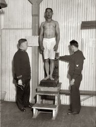 New York, 1917. "Examination on Recruit." Our inductee gets weighed aboard the "landship" in Union Square. View full size. Geo. Grantham Bain Collection.
The Measure of a ManLooks like the paper is a height-weight chart. I was right about it being a scale. Of course you could never do this in a real Navy ship of the day, the ceilings were pretty low.
(The Gallery, G.G. Bain, NYC, WWI)