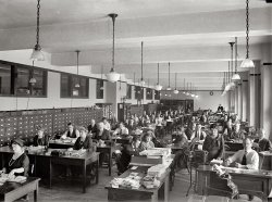 Washington, 1923. "Stamp Division, Post Office." View full size. National Photo Company Collection glass negative, Library of Congress. Everyone look busy!
Dalton Adding MachineThe adding machines appear to be Dalton Ten Key models, manufactured from 1902 to 1928.

Museum of HP calculators
Also love those staplers: Acme No. 2.

Early Office Museum
[Oooh. An Acme. A great brand! And they'll deliver anywhere. A cave out in the desert, for instance. - Dave]
Stamp subjectsSome of those old geezers look like they should be posing for stamps.
At computer with the computerIn  the early days, accountants were often called computers - the human adding machine. In the middle of this photo it appears we have a woman "computer" at a very large calculating machine - electric by the looks of the cord hanging down. Must be the head number cruncher... I'll be that made some noise when it ran a calculation!
DiversityAn amazing diversity of ages in the office. Don't know that you would see that now.
Time TravelerCheck out the young guy on the left, 4th desk back from the front.  He looks like he is from 40 years later (i.e. shirt collar, haircut style).

Surfing at WorkSome things never change!

The CrowdReminds me of a scene in the 1928 film "The Crowd".  The other thing is, I am a bit surprised to see the older ladies in the workforce; would have expected only young secretarial types looking for that first husband while trying to make it in the city.
Next QuestionWhat are they doing exactly?  Anyone know?
I was thinking exactly the same thing.His doleful expression also seems very modern, I recognize that look, I'm sure I portrayed it myself.
Stamp DivisionThe Stamp Division of the (then) Post Office Department managed the supply and distribution of postage stamps and stamped paper for all the post offices throughout the country. They would fulfill orders from local offices and also receive back damaged and unsalable stock. Given the magnitude of the operation, a big part of their function involved accounting, which appears to be going on here.
William H MacyLeft column of desks 6th row looks like William H Macy or a close relative. i wonder what his grandfather was doing in 1923?
Paging Jim HalpertThe person who stands out most for me is the young man on the right behind the lady standing. He doesn't quite fit in and yet he seems happy to be there. My thought is that he's fresh out of college and is honored to be working amid such esteemed company. Look around him at the generations of intelligent men and women in the room. He seems to gain inspiration in knowing that one day he too will be older and venerated. His jacket is off, but rather than attempting to look casual, he's smartly dressed and his perfectly knotted tie is surrounded by a dapper vest and crowned by a starched collar.
The older men around him serve as an inspiration to him and his belief in the system. They are role models, peers, and father figures. The gentleman immediately behind the young man could easily have stepped off a Smith's cough drops box and exudes 19th century style and dignity. The man to the right appears to be related somehow to Wilford Brimley and behind him is a pre-campaign John McCain.
Looking around the room, I can see why he wants to fit in and be one of the crowd. Looking back at him I can see that he never would. The slight smile tells me he wants to rise and strike out as an artist. The culture of the era wouldn't allow him to do so. With some luck, at some point in his career he was allowed to rise and become one of the supervisors who stood watch over the room. Our young man's supervisor is standing far in the back, ready to answer questions and shake those drifting off.
I imagine that after the image was snapped, he thought, "I wonder if I'll see that picture? I hope I looked OK." Then his eyes went back to the ledger and suppressing a yawn started adding those sums again... 
At least we have cubiclesAt least we have cubicles now.  Fascinating though -- other than the racial homogeneity, these faces could easily be those of the co-workers around me today.  Also, it's almost lunchtime.  I wonder how long they got for lunch?
Office  Christmas PartyWith that entire group of sober, somber and serious toilers, imagine what their holiday party was like.  Not one laborer is hamming it up for the camera, not even a shadow of a smile to be had in the bunch, no out-of-bounds behavior for a picture to be frozen in time.  The job must have had excellent fringe benefits (or French benefits) and although they all looked absolutely miserable and more like salt mine workers than accountants, they wanted to keep those joyless jobs.  Try to imagine the annual holiday party with alcoholic spirits served to bring these stuffy stiffs to life.  Those three old girls on the left would be kicking off their shoes and dancing on their desks.  Someone should have told them "a little nonsense now and then is relished by the best of men."   Do you suppose they had casual Fridays.
[I wonder how many government office parties served booze during Prohibition. - Dave]
SociallyI guess the older women struck out. Manhattan is full of them.
Ordinary expressionsWell, some of them are smiling or have pleasant expressions on their faces, despite the fact that most likely the photographer had just yelled out, "OK everybody, when I say 'HOLD IT' don't move a muscle for X seconds!" Anyway, just exactly how joyful does anyone expect accountancy to make a person?
ShortyI can empathize with the lady sitting in the rolling chair with her side to the camera.  Her feet don't reach the floor when her chair is high enough to reach her machine.  That makes for a VERY uncomfortable 8-10 hours.  Though she does have great shoes...
BytesAll the data contained in those cabinets would fit into my PC.
FacesAs someone who enjoys the study of the Faces of Mankind, this is a wonderful photo to look at. I wonder if they had to use postage stamps to ship out any of the reports that came out of their calculators, or did they have access to email, instead?
Older WorkersWell, this WAS before Social Security. People worked till they dropped.
[Government employees usually had pensions. - Dave]
IBMAnd in 30 years most of offices like this would be taken over by IBM and their punch cards.
Amazing pictureThis is one of the most amazing pictures I've seen on Shorpy. Definitely the most people looking right at the camera, and a real study in captured moments. That young, disgruntled looking fellow certainly could belong to several different eras. So many old, distinguished types. It's one of those photos where you can smell the wood, leather and shoe polish.
Thank you for all these images.
So-So History but Excellent HumorOlder than Yoda cracked me up with his vision of the matrons in this shot indulging in barefoot, desk-top dancing at the office party! The sobering (sorry) response about Prohibition being in force at the time just made it all the funnier!
Jim Halpert?He looks more like the 1920's Dwight Schrute to me.   Dwight's main ambition in life is to die at his desk, this fellow probably did.
Smiles"Smiles, everyone!  Smiles!  Welcome to Fantasy Island!"
Look at that lighting!The ceiling's covered with classic ribbed acid-etched Holophane glass pendants -- the elder fixtures -- and between those are newish "schoolhouse" style opal glass shades. The schoolhouse fixtures became institutional classics and probably have 150 watt bulbs inside the shades. The Holophane shades were designed to refract and emphasize weaker early light bulbs, and worked surprisingly well as task lights. What a great scene this is, in so many ways.
Those LampsWe have four schoolhouse lights in our home exactly like the ones in the picture. They were taken out of the old post office here and have "1917" etched inside the fixture. Whenever we move, we take them with us.
Grumpy Mother in LawThat lady on the far left looks like one of those "children should be seen and not heard" types.
(The Gallery, D.C., Natl Photo, The Office)
