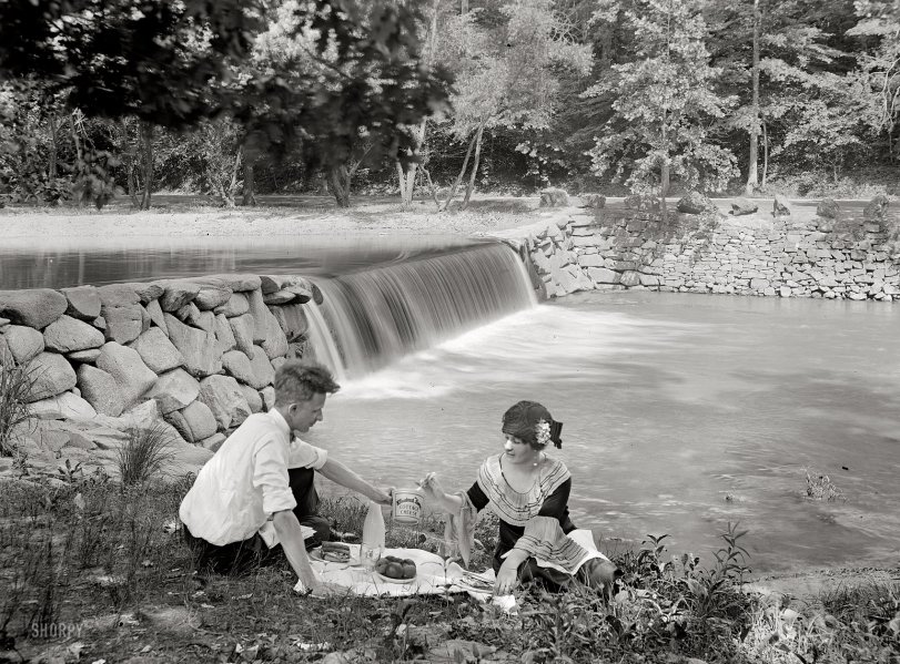 Rock Creek Park in Washington, D.C., 1924. "Chestnut Farms Dairy." The cottage cheese couple again, spooning in public. National Photo Co. View full size.
