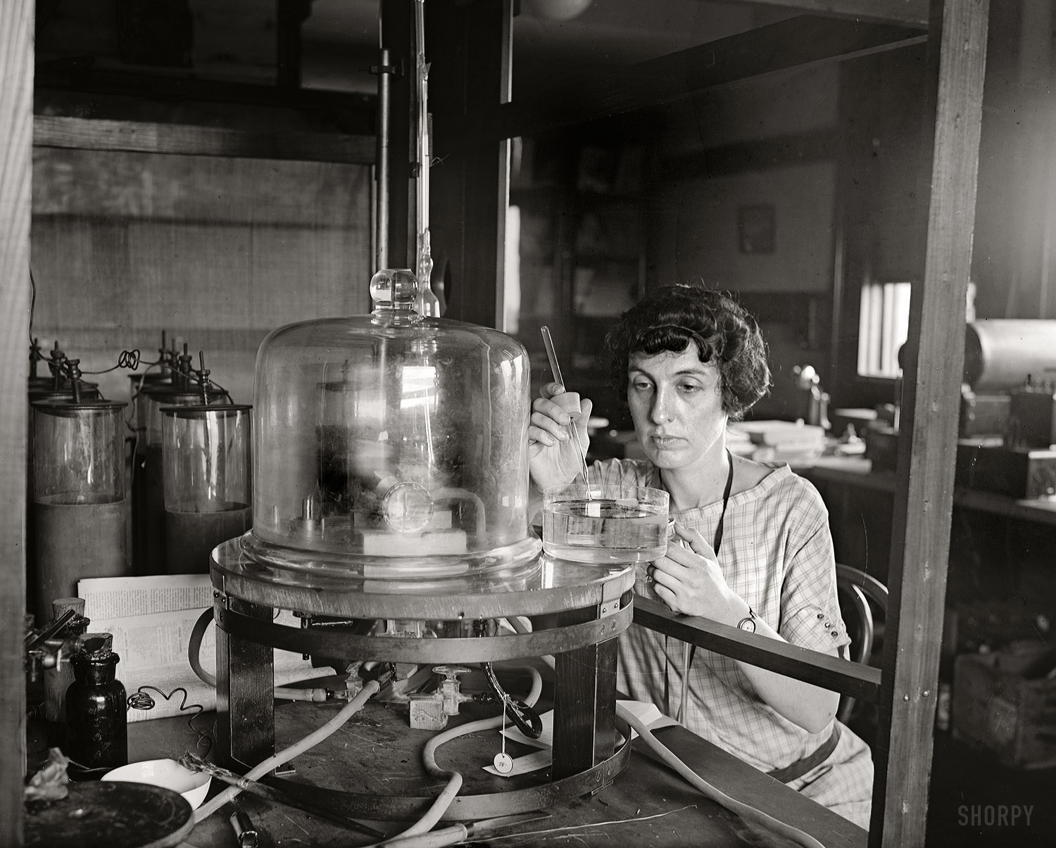 Washington, August 18, 1924. "Miss V.P. Porter, Bureau of Standards." National Photo Company Collection glass negative, Library of Congress. View full size.