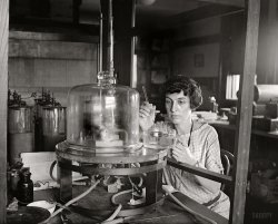 Washington, August 18, 1924. "Miss V.P. Porter, Bureau of Standards." National Photo Company Collection glass negative, Library of Congress. View full size.
WonderfulI work in a Standards lab.  What a great photo!
ElectrifyingThose look like whopping Leyden jars in the back left.  If that's true, they'd hold a pretty massive charge.  
(The Gallery, D.C., Natl Photo)