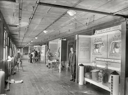 Sept. 17, 1924. Washington, D.C. "Joseph Hiscox, Agriculture Dept., with exhibit for National Dairy Show in Milwaukee." National Photo Co. View full size.