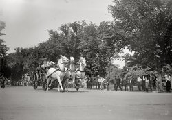 June 15, 1925. Washington, D.C. "Last run of Barney, Gene, and Tom, District Fire Department horses." And the subject of an article in today's Washington Post. National Photo Company Collection glass negative. View full size.