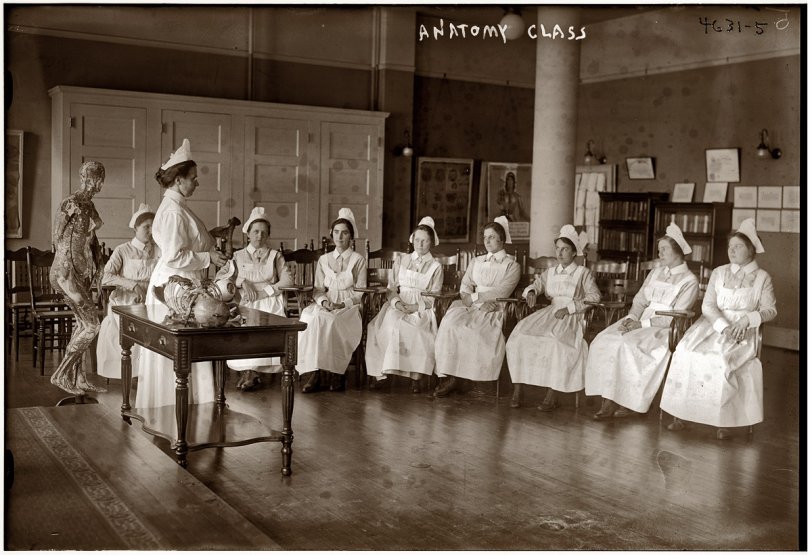 Anatomy Class: 1905