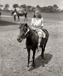 New York, July 22, 1918. Alice de Goicouria Belmont on "Beauty." Alice, the daughter of August Belmont Jr. and an heir to the Belmont banking fortune, grew up to be a registered nurse. She died by her own hand in 1955 at the age of 45. View full size. 5x7 glass negative, George Grantham Bain Collection.
Go Ask AliceLet this be a lesson, ponies do not lead to happiness.
Who wouldn&#039;t love a pony?Now we know!
BeautyDoes anyone know what breed of pony Beauty might be?
The Wedding of Alice&#039;s ParentsOne of the smartest, but smallest, weddings of the Winter took place yesterday afternoon in the Church of the Ascension when Miss Alice de Goicouria, younger daughter of Albert de Goicouria, was married to August Belmont, Jr., elder son of August Belmont.
Both families were in mourning at the time of the wedding, she for her mother and he for his uncle. It is noted that the bride wore her veil in a "totally new fashion." 
NY Times 1906
History appears to be silent on the subject of Alice the younger.
[Alice was an aspiring musician whose artistic ambitions were thwarted by her family. More later. - Dave]
A little unhappyShe doesn't seem too thrilled at this age, either.
(The Gallery, G.G. Bain, Horses, Kids, NYC)