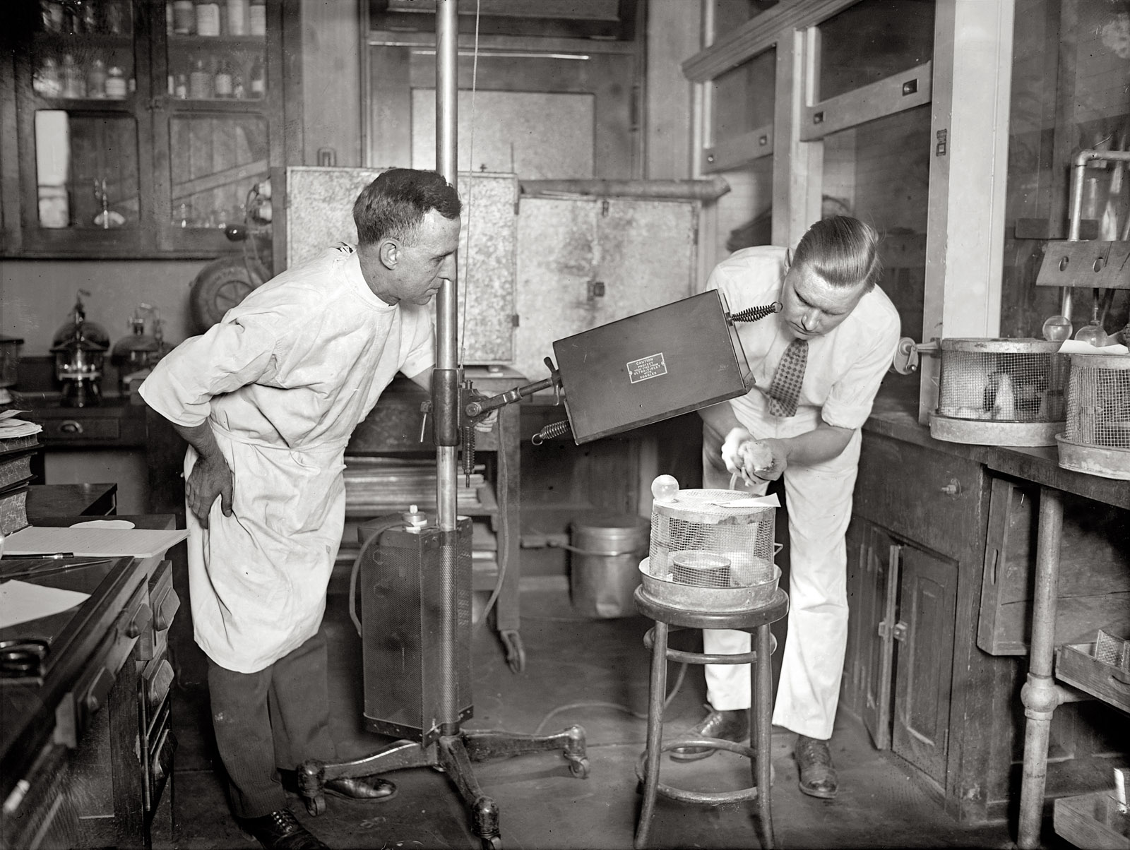 January 13, 1926. "Violet Ray treatment on white rats at Agriculture Dept." National Photo Company Collection glass negative. View full size.