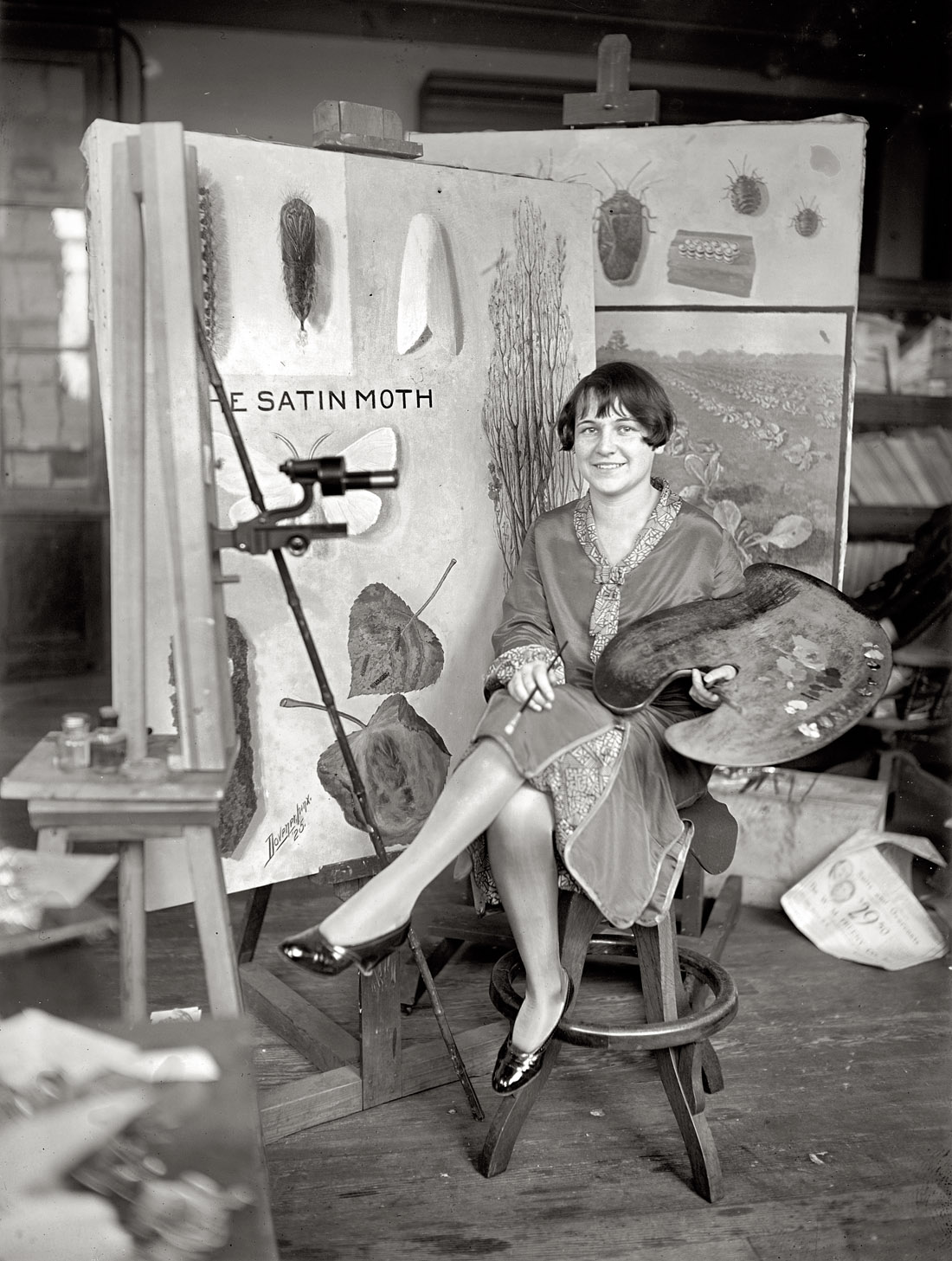 January 5, 1926. "Miss Mary C. Foley, artist at Department of Agriculture." National Photo Company Collection glass negative. View full size.
