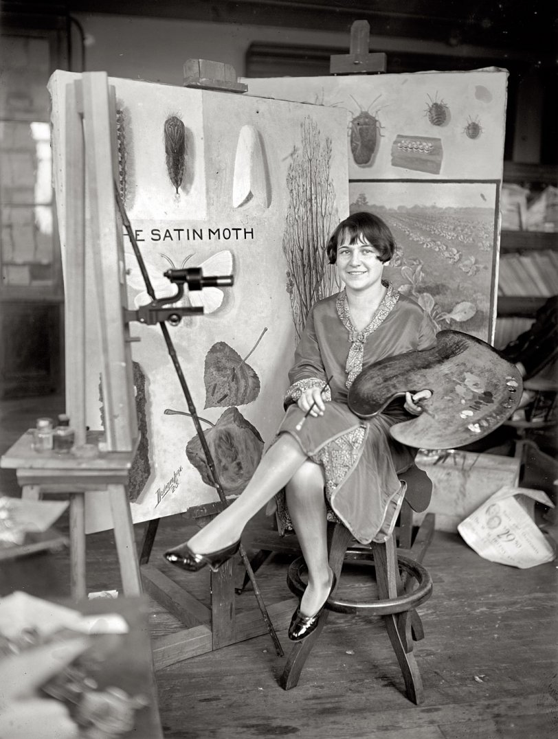 January 5, 1926. "Miss Mary C. Foley, artist at Department of Agriculture." National Photo Company Collection glass negative. View full size.
