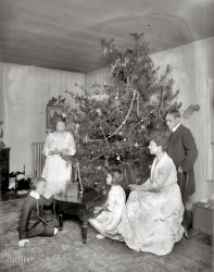 December 1919. "Baker Christmas tree." Secretary of War Newton Baker, wife Elizabeth and children Jack, Betty and little Peggy. National Photo Company Collection glass negative. View full size. More Xmas awesomeness here.
We hardly Newt yePreviously Mayor of Cleveland, this is the man responsible for the draft.
Lovely, butWhat a lovely picture! Isn't it odd though, the contrasts in this shot. There is such finery: the wife's dress and shoes are gorgeous as are most of their clothes, but then you have such a threadbare rug and things are a bit worn around the edges -- check out the leg of the chair Mrs. Baker is sitting on. Was that normal, do you suppose, for the tree to be so large that it sort of smashed against the ceiling like that?
If he only knewBet little Marconi there could not even imagine that in less than 90 years, ordinary kids his age would have their own iPods, CDs and Bluetooth gadgets. Great little piano there also. Nice family and it looks like everyone got what they wanted.  Of course, as in my own childhood, kids got ONE present per child, not 15 or 20. Try doing that today. 
Contest Entry?A neighborhood Clumsy Christmas Tree Contest is the only reasonable explanation for this grotesque tree.
Rock on!Looks like little Jack got the 1919 equivalent of an iPod for Christmas.
Charlie Brown calledand he wants his tree back. I don't mean to be a Christmas tree snob, but that is one ugly piece of vegetation. Plus the fact it looks like they spent about five minutes decorating it. Bah Humbug.
What Would Jackie Do?Newton D. Baker House, also known as Jacqueline Kennedy House, was built in 1794. It was home to the Secretary of War from 1916 to 1920 while he presided over America's mass mobilization of men and material in World War I. After the assassination of John F. Kennedy in 1963, Jacqueline Kennedy purchased the house and lived here for about a year. It was declared a National Historic Landmark in 1976. The house has many architectural details including a wide limestone stairway, pink-painted lintels with keystones, brick voussoirs, Doric pilasters and a semi-elliptical fanlight.
That Christmas treewas decorated in fifteen minutes or less.
Some things never changeJack would be just as comfortable today as he was in 1919. Only the headphones that he would have today would prevent any outside noise (his parents) from interfering with the volume. The other difference would be his attire, a T shirt and jeans would be acceptable. The  other thing that would be the same would be his oldest sister, who would be nagging him big time.
It&#039;s the DickensI think I see the ghost of Christmas past.
The contrastbetween the shabby surroundings and the largesse bestowed on these obviously beloved children is stunning.
The firm that Jack builtNewton D. Baker was the mayor of Cleveland  from 1912 to 1915 and Secretary of War from 1916 to 1921. His son Newton Diehl "Jack" Baker III founded the law firm of Baker &amp; Hostetler, the 94th largest law firm in the world today.
Radio for the kiddies!Washington Post ad from December 14, 1919. Wireless telegraphy/telephony sets for the kiddies, and Christmas lights!
[Note that the name of Parezo Electric is misspelled. - Dave]
Dear SantaI would like a pair of shoes just like Mrs. Baker's.
Thank you!
Well, isn&#039;t that delightful?!There's young Jack, tuning his new crystal set with the "cat's whisker" (no doubt using the strands of metallic tinsel as a receiving antenna), as his little sister, wearing her first wristwatch, tinkles the ivories on her new midget Steinway grand.
Meanwhile, elder sister Betty daydreams about her boyfriend as she rips pine needles off a branch -- "He loves me, he loves me not ... "
Aah, Christmas!
Jack at the wirelessreminds me of myself 50 years later! I had a record player for a present at that age. Took it with us on the family summer vacation. I grew up to be a sound engineer; wonder what Jack turned out to be?
Were things really that drab in 1919Mabye it's the black and white photography but I find this photo oddly depressing. I think it's because of how the wallpaper and carpet photographed. The dresses the females are wearing however are beautiful (especially the little girl's).  You can't buy that kind of cloth today.
Branches here and thereToday, we would never settle for a tree as unsymmetrical as this.  
Miniature ChristmasVery interesting to see the downsized piano and the bed.  Dad doesn't want Mother to stand up.  If she does he will also be in miniature.  Also, someone else write about the tree.  
Artificial Christmas trees.I think we have found the reason for artificial Christmas trees.  I wouldn't let that tree in my house.  That piano would be worth a small fortune today.
Is it really THAT bad?There have been a lot of comments about the drabness and tattered finery in this pic, but I wonder if a lot of it simply has to do with the quality of the negative.  Is the rug really threadbare, or could the sheen or design of it appear to be so, when in fact it was in acceptable condition.  It hardly seems fitting that the Secretary of War would live on the verge of poverty.  I know this will raise some cackles among purists, but how about one of you colorizers taking this photo to task and see if we can't really find the Christmas spirit in it.
This is what happens when you let the children choose the tree and decorate it themselves.
Xmas AskewNot only is that tree as crooked as a dog's hind leg (something I remember my brother complaining about when we would go looking for a tree when I was a kid), it also looks like it's tied to the light fixture on the wall to keep from falling over.  Charlie Brown really does come to mind.
CounterpointI don't believe this photo allows us to say that the walls and carpet were shabby or threadbare. This low contrast black and white photo could be hiding something that was much more impressive. Flat != threadbare.
I also take issue with the poorly shaped tree remarks. Artificial trees are of course perfectly shaped, at least according to the ideal shape that society has defined. Even the real trees have been cut and shaped to be more acceptable. This was taken in an era that accepted more diversity in its trees, obviously! An era when the choice and shape of a given tree could help define the memory of that year and that Christmas in one's mind. As with fine wines, not all the years were the same. The search for excellence does not necessitate artificial perfection.
I'll take even a "poorly shaped" tree any day over the plastic and metal monstrosities that people use these days, transporting the season's dust from one year to the next. "Oh, look, here's the dust from  2009! Do you remember that?"
That&#039;s ProgressI am amazed at the criticism of the contents of this picture from 1919.  That is how the most prosperous citizens lived at that time.  Viewers should take this as a visual teaching moment --- to understand just how much progress we have made in the intervening 90 years.  The vast majority of Americans live in a rich splendor that the most prosperous class in 1919 could not imagine.
And, ahem, compare the impact of capitalism in America on the population living standards in the last 90 years with the impact of communism on its population in the same period.
Worth a thought.
Inflation AdjustmentThe Parzeo ad shows a "nine light xmas tree unit" for $3.45. That'd be about $43 today. Think about how many lights you can buy today for $43. My God, I love being alive in the 21st century!
&quot;Nutcracker&quot; 1915PBS has been broadcasting San Francisco Ballet's Edwardian "Nutcracker."
The conceit is to set this "Nutcracker" in 1915, during the Panama-Pacific Exposition.  During the overture, there is a kind of slide show of vintage photographs.  At the beginning of the family gathering scene, Father triumphantly plugs in the newfangled Christmas tree lights.
(In addition, this production has a very sweet and positive take on Clara's balancing between childhood and the threshold of womanhood.)
N.B.Newton Baker in 1919 had been in public service for almost his entire career and did not have much money. But he established a law firm with two other partners and after he left government service in 1921 he was better able to build his net worth a bit.
(The Gallery, Christmas, D.C., Kids, Natl Photo)