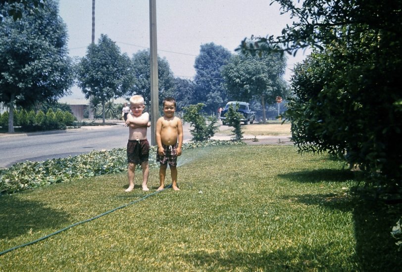 Beautiful West Covina, summertime in the Southern California smog! Thankfully Southern California is in much better shape, air-pollution wise.
My brown friend (I was the white one) and I are enjoying the pleasures of the sprinklers and the water hose in our front yard.
He and I were inseparable from when we were babies until age 9 when my family moved. I last saw him in 1978, for his wedding. Sad how we lose touch.
Alert members will recall I posed with my Dad in this yard in my very first picture posted here. View full size.
