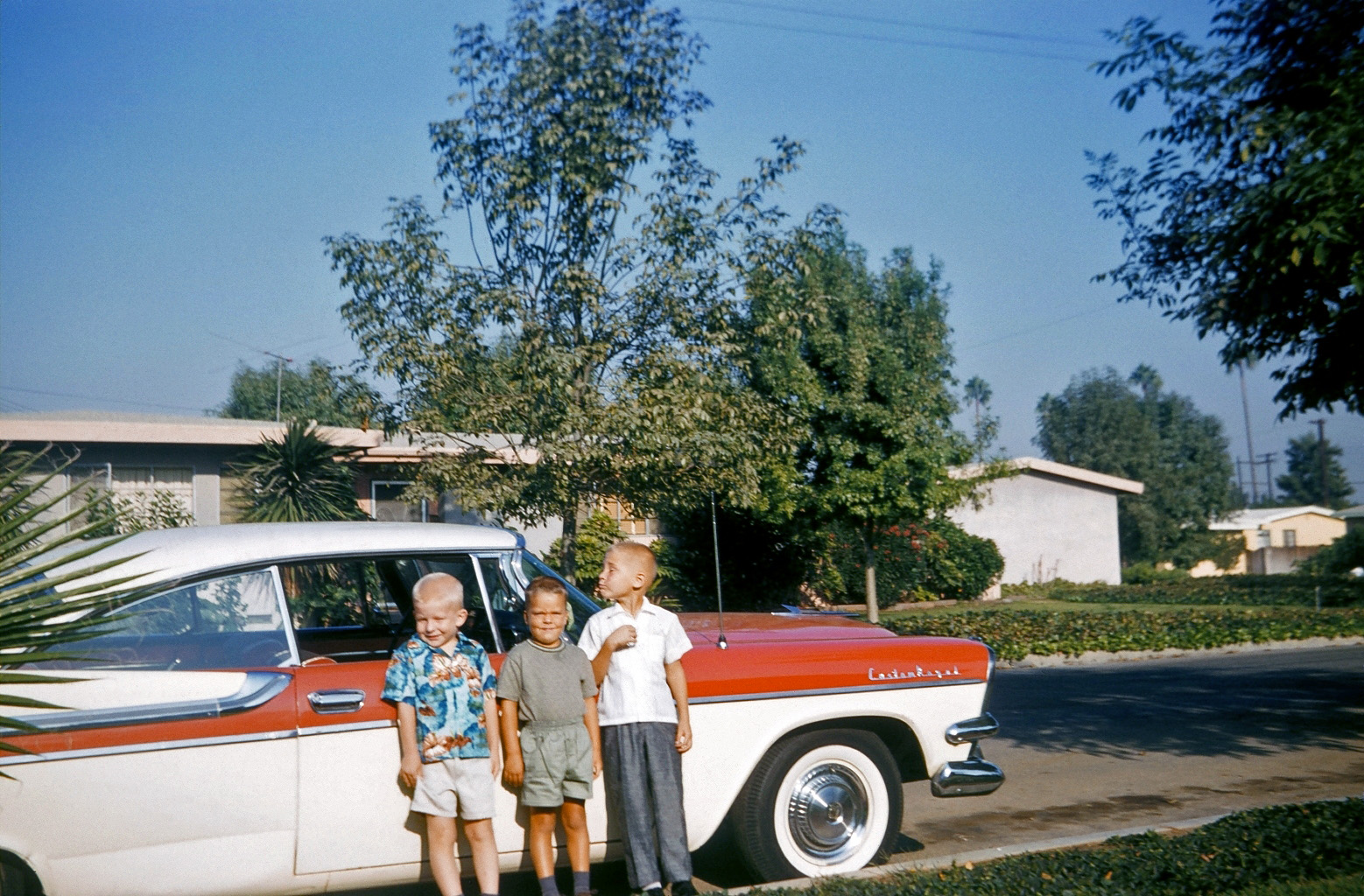 Well, here are the troublemakers, the neighborhood clowns, the jamokes. This car was in front of my house at 222 N. Mardina Street, West Covina, California about 1961 or so. I do not recall whose car this was. I'm the kid on the left. Doug is in the middle and Dennis is making the face on the right. We were all the same age, but Dennis was bigger.

Our homes were adjacent: mine, Dennis's and Doug's. They had built-in pools, and boy did I take advantage. Doug's dad was a construction guy, kind of loud and gruff. Summertimes when we were at his house swimming, Jack (his dad) would come home from work and upon seeing us kids would say, "What are you jamokes up to?" in a most affectionate way. Now the word: Urban Dictionary says jamoke is "a clumsy loser who is incapable of doing normal human tasks." We were friends forever, at least as long as it lasted. And it did for several years.

And hey, the car is a 1957 Dodge. View full size.