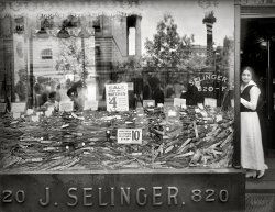 Washington, D.C., circa 1920. "Selinger window, 820 F Street N.W., sale of Army wrist watches." Wristwatches, which saw widespread use during the First World War as "trench watches," were entering the mainstream as the era of the pocket watch began to wind down. National Photo glass negative. View full size.
Self-portraitI'm sure there are others here on Shorpy, but finally, a reflection of the photographer and his camera (and onlookers).
Ick!This looks more like a compost heap than a window display. If these were used watches and bands, I bet it smelled like one too.
Bring it backThe old pocket watch that is.  My granddad carried one into the 60's at least.  When I lived with my grands for a year I always liked to see him lift it out of his vest and open it up.
&quot;Watch&quot; the Birdie!Looks like about an 8x10 view camera, reflected in the window, just to our right of the $4 sign. Maybe that's the photographer in the straw boater. The rest of the crowd seems much more interested in the picture-taking action than in the pile of watches. I'd like to have a shoebox full today.
Here is my Grandfather in 1918, second from right, at a training camp in New Jersey. All his buddies have their new-fangled wristwatches showing-- maybe his is hiding up his sleeve. It's possible he was carrying his own pocket watch, which we still have, and which is ultimately responsible for the first part of my screen name.
Cheese!Check out Missus Glam-o-rama.
" 'Watch' me!"
Spy MuseumApparently, Selinger was located in the Warder Building on the corner of 9th Street.  The reflection of the columns and wall of the 9th Street side of the Patent Office Building can be seen in the window.  The Warder Building is now occupied by the Spy Museum.  The Old Patent Office Building is now occupied by the Smithsonian American Art Museum and the National Portrait Gallery. 
Block PreservedThat's the old Patent Office, now the National Portrait Gallery, reflected behind the group. Seen here previously on Shorpy.
The National Park Service maintains this page on the entire block.
I&#039;ll take the one at the bottomNo not that one, the one under the other side of the pile.
&quot;A face in the crowd&quot;Oho. Nice wordplay.
Rugged Little Timepieces 

Display Ad, Washington Post, May 1920 

Taking into consideration that there were more than one thousand dealers after this lot of watches, much credit is due to Mr. S.M. Selinger, of this firm, for his untiring efforts in securing them, which number many thousands and give to us the exclusive sale for Washington.  During the war these rugged little timepieces could not be made fast enough to supply men going into service at $25.00 each.  Mail orders will be filled if accompanied by remittance for any number until our stock is exhausted.  Do not forget that these Watches are Solid Silver through and through.  All have luminous faces that can be seen at night.  They are also fitted with nonbreakable glasses.




Still in FashionSeeing the trend today is very large watches, these watches would not look out of place now. The movements used were originally made for small ladies fob watches with cases 38-40mm diameter.
Also a lot of these trench watches had radium dials. Be interesting to walk past that window with a Geiger counter. 
Fancy Window ValanceAs in many of the shopfront windows seen on Shorpy, Selinger's window is dressed up with an ornate machine-embroidered cotton valance of appliqued scrollwork with cam-embroidered details and applied fringe. What's special about this photo is that one can see the embroidery details clearly in the valance's back-lit reflection in the mirror on the back wall of the display window. Mass-produced cam-embroidered fabric trims and laces were used for furnishing trims like this valance and even more for women's dresses and shirtwaists. Although these trims were machine-made, most of their finishing and assembly was accomplished by hand by piece-workers in sweatshops and tenements, as recorded by Lewis Hine and other photographers also seen on Shorpy.
You&#039;ll wind up with this one.No one uses these anymore.  You can't get batteries for them.
Hurry!Time Left: 90y 3d 12h; reserve price NOT met; Buy It Now or Bid. Seller Location: Washington, D.C. Current Bid: $1,252.00.
(The Gallery, D.C., Natl Photo, Stores & Markets)