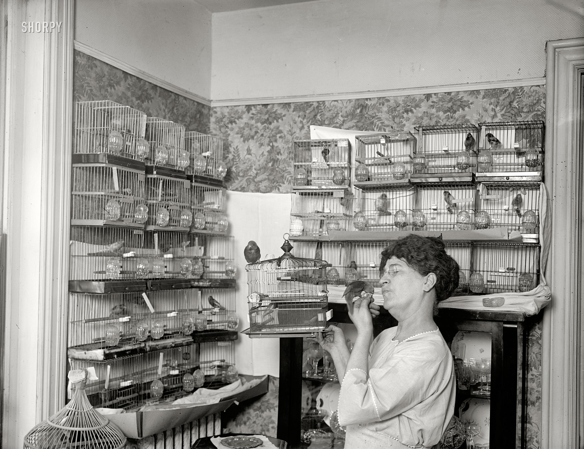 August 3, 1921. Washington, D.C. "Mrs. Jno. W. Clarke." Shown tweeting. National Photo Company Collection glass negative. View full size.