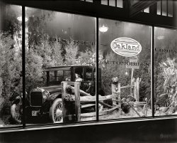 Circa 1921. "Oakland window." A showroom display at District Oakland Co., 1709 L Street N.W. in Washington, for the General Motors brand that in 1926 would beget Pontiac. National Photo Co. Collection glass negative. View full size.
Location, Location, LocationWashington: 12 miles
Baltimore: 31 miles
For some reason, that struck me as particularly fascinating.
I realizeshe's a dummy, but still she creeps me out. Looks like Chucky's mom.
The GobblerNot only does she look like Chucky's mom, but she's freaking out the turkeys with those feathers in her hat!
Well displayed Oakland!I will be sorry to see the Pontiac go after all these years. Times sure are changing. These displays are so wonderful, and very similar to what we used to do for car shows in the '60s. Cars would be displayed in a natural surrounding for interest and for sales.  Fantastic, Dave! I would give anything to have one today.
Oakland Six


Do you remember......the kind of September when new cars filled the showrooms with windows covered by paper--in anticipation of the big fall roll-out of the new GM, Ford, Chrysler, American Motors, Jeep, and Studebaker-Packard cars?  That's how it was in the 1950s, and, man, we kids would get excited. And, oh that new car smell. Nothing like it today. If auto dealers could recapture that excitement and longing, things might be different in Detroit!
The first thing that crossed my mindChucky in drag, his sister or John Gruden.
What a great show-window display!
I Do SO RememberLook Magazine would have a new car issue in late August each year.  That was the first look we had of the new models.  The cars being hauled to the dealerships were often covered so no one would get an early peek.
Stuff it?That is the first forest to have an electric light in its sky, if not the first dummy to drive through a forest without any hint of a road. But are the turkeys stuffed too, or did they let real birds roam the showroom? The mammal (bobcat?) in the far right corner does appear to be stuffed.
Thirty-six years later every Edsel dealer got a live pony in their showroom, to bring people in to see the cars. Ponies make a far worse mess and smell than a couple turkeys.
Yes, I rememberThese days, it's kinda tough to remember what year we're in -- it's May, and the car companies have been selling 2010 models for months, it seems... guess they're doing their best to fan new car fever into a pandemic. 
Wish I knew what happened to the scrapbook I made in first grade, carefully cutting out all the cars from every magazine ad I could find.
As went Oakland, so goes PontiacOakland was shut down by GM at the end of 1931; companion make Pontiac had sold seven times as many cars that year, which sold fewer than 9,000.  Now, Pontiac follows in its footsteps, set to be closed at the end of 2010.
Before televisionThis window display is particularly fascinating because there is so much going on! The birds, the lush "greenery", and the glassy-eyed, grimacing dummy. I wonder how long it took to put this all together?
The car seems almost incidental.
(The Gallery, Cars, Trucks, Buses, D.C., Natl Photo)