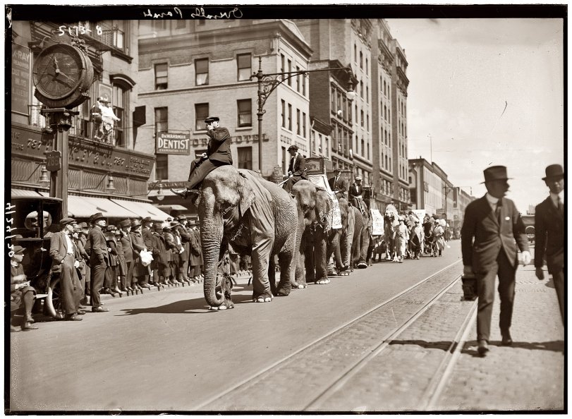 April 24, 1920. New York City. "Overalls Circus Parade." View full size. 5x7 glass negative, George Grantham Bain Collection. In the background: The Cort Hotel, probably at 301 West 48th Street and Eighth Avenue. Is it still there?