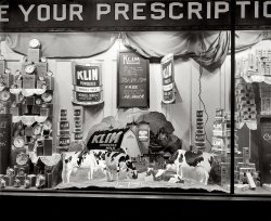 Washington, D.C., circa 1921. "James L. Owens &amp; Sons, window." An elaborate display featuring Klim powdered milk. View full size. National Photo Company.
KlimThey could've gone a step further and called it "Klim Deredwop."
NestleNestle owns the Klim trademark now. Wikipedia says they bought it from Borden in 1988 and market it primarily in Latin America. When I lived in a predominantly Puerto Rican neighborhood in Brooklyn, I'd see Klim at the grocery.
Got Time?You might be out of luck looking for Klim or Car-Mac in US stores, but you a can still buy a Westclox Big Ben in the same style they issued in 1931. The brand name is now owned by NYL Holdings: New York Life.
Dental CreamNotice the product on the right hand side of the window --"Car-Mac Dental Cream."  I assume this is early toothpaste, but I'm a bit surprised.  I always thought toothpaste (or cream) came along later and that during the 20s the product available was the dental powder that folks placed on their toothbrushes. (Or maybe that was Klim powdered milk they were putting on their brushes).  
As for the Klim, you can tell their salespeople were doing their best to reassure people that the powdered stuff actually is milk, by showing huge 3-D (well, sort of) images of contented cows, dairy barns, and barnyard scenes.
[Wikipedia: Pre-mixed toothpastes were first marketed in the 19th century. In 1896, Colgate Dental Cream was packaged in collapsible tubes. - Dave.]
(The Gallery, D.C., Natl Photo, Stores & Markets)