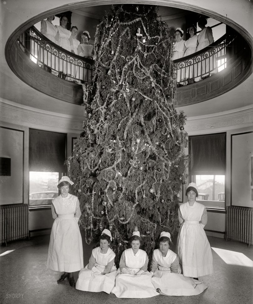 "Garfield Hospital Christmas tree." Nurses at the Washington, D.C., hospital circa 1921. National Photo Company Collection glass negative. View full size.
