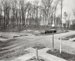 June 28, 1913. Washington, D.C. "Massachusetts Avenue Heights." Woodland Drive at 32nd Street NW. National Photo Co. glass negative. View full size.
Woodland &amp; 32ndThat corner's crying for a 7-Eleven.
[And a Starbucks! - Dave]
Would crySpeakin' of cryin', I would do so with delight if someone out there could produce a photo that shows what this sylvan intersection looks like today. Thank you.
Washington MonumentThat property corner marker labeled "LOT 1" is the biggest monument I've ever seen a surveyor use. We have a piece of rebar poking up half an inch out of the ground on each corner of our lot. 
Woodland at 32nd TodayWoodland and 32nd. Click to zoom.

Slow down!Are those speed bumps laying on the road or did Batman just leave the Batcave?
Re: Slow downLying on the road. Not "laying."
[Another Shorpy Teaching Moment! - Dave]
Tony Neighborhood Today!Two homes on the market: $6.5 million and $8.3 million.
http://www.trulia.com/for_sale/Washington,DC/38.923526,38.928033,-77.066...
Posh DigsThis neighborhood was exclusive from the start. The Washington Post reports that Rep. Martin B. Madden (Republican, Illinois), chair of the appropriations committee, lived at 3201 Woodland Drive in the 1920s.
A tragic location 102 years later.This is the same intersection where the premises on Woodland Drive were the location where on May 13-14, 2015 a quadruple murder took place.  Three members of one family were killed along with a housekeeper.  Mass killing and then an arson attempt to cover evidence.  A suspect was found guilty and sentenced to four consecutive life-without release terms. 
https://en.wikipedia.org/wiki/2015_Washington,_D.C.,_quadruple_murder_in...
(The Gallery, D.C., Natl Photo)