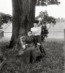 Circa 1910. "Storms. Lewinsville, Virginia." On the J.A. Storm farm in Fairfax County. National Photo Company Collection glass negative. View full size.